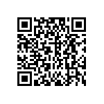 DW-04-13-L-S-1100 QRCode