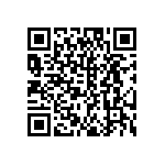 DW-04-13-S-S-980 QRCode