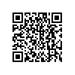 DW-04-13-T-D-955 QRCode