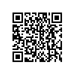 DW-04-13-T-S-250 QRCode