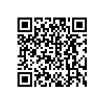 DW-04-13-T-S-940 QRCode