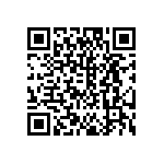 DW-04-13-T-S-948 QRCode