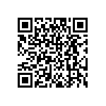 DW-04-14-T-S-300 QRCode