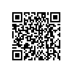 DW-04-15-T-S-384 QRCode