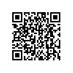 DW-04-17-T-S-213 QRCode