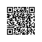 DW-04-17-T-S-275 QRCode