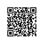 DW-04-17-T-S-276 QRCode