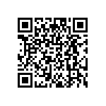 DW-06-07-T-S-300 QRCode