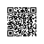 DW-06-13-T-S-300 QRCode