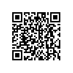 DW-06-13-T-S-685 QRCode