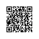 DW-06-17-G-S-295 QRCode
