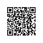 DW-08-07-T-S-295 QRCode