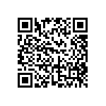 DW-09-11-T-D-531 QRCode