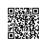 DW-09-13-L-D-925 QRCode