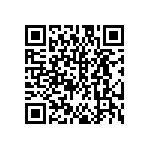 DW-11-13-F-S-965 QRCode