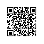 DW-12-07-T-S-300 QRCode