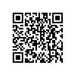 DW-12-13-F-S-925 QRCode