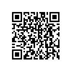 DW-12-13-G-D-925 QRCode