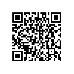 DW-12-13-G-S-787 QRCode