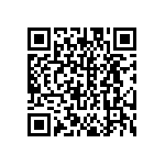 DW-12-13-L-S-827 QRCode