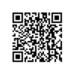 DW-12-17-T-S-300 QRCode