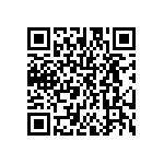 DW-13-09-L-D-295 QRCode