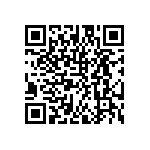 DW-13-10-G-D-380 QRCode