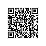 DW-13-12-L-S-300 QRCode