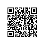DW-13-13-L-D-919 QRCode