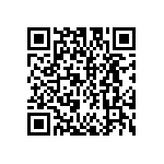 DW-13-14-F-T-1141 QRCode