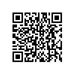 DW-13-17-T-S-276 QRCode