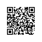 DW-16-17-T-T-300 QRCode