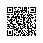 DW-17-13-T-Q-400 QRCode