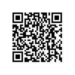 DW-17-20-T-D-787-LL QRCode