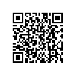 DW-19-09-T-S-291 QRCode