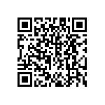 DW-20-13-F-S-935 QRCode