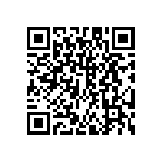 DW-20-13-G-D-953 QRCode