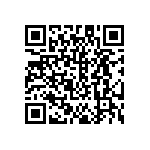 DW-20-13-T-S-875 QRCode