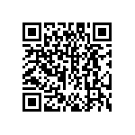 DW-24-13-F-S-937 QRCode