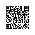 DW-24-13-T-S-925 QRCode