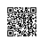 DW-31-13-F-S-970 QRCode