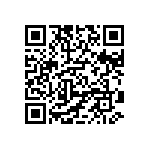 DW-39-13-F-S-965 QRCode