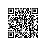 DW-41-13-F-S-935 QRCode