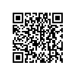 DW-47-13-F-S-965 QRCode