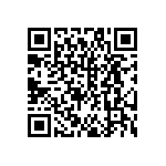 DW-49-13-F-S-965 QRCode