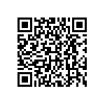 DWM-01-01-T-S-200 QRCode