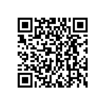 DWM-01-53-G-S-280 QRCode