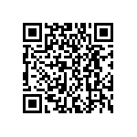 DWM-01-54-S-S-300 QRCode