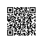 DWM-02-51-T-S-250 QRCode