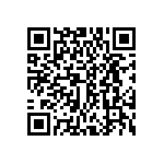 DWM-02-53-L-S-300 QRCode